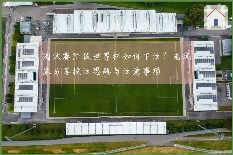 淘汰赛阶段世界杯如何下注？老玩家分享投注思路与注意事项