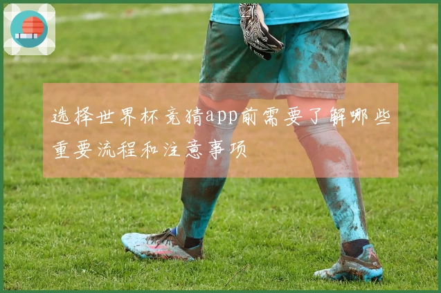 选择世界杯竞猜app前需要了解哪些重要流程和注意事项