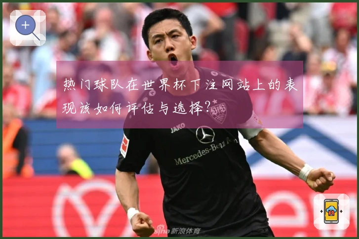 热门球队在世界杯下注网站上的表现该如何评估与选择？