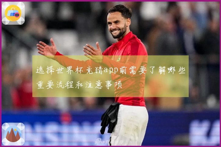 选择世界杯竞猜app前需要了解哪些重要流程和注意事项