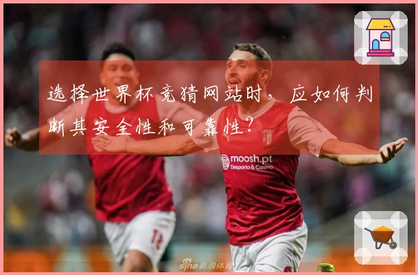 选择世界杯竞猜网站时，应如何判断其安全性和可靠性？