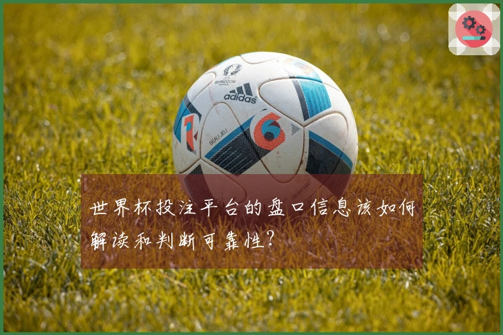 世界杯投注平台的盘口信息该如何解读和判断可靠性？