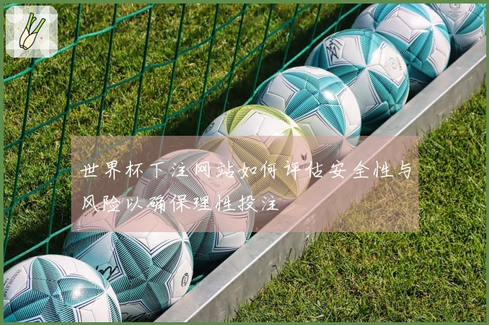 世界杯下注网站如何评估安全性与风险以确保理性投注