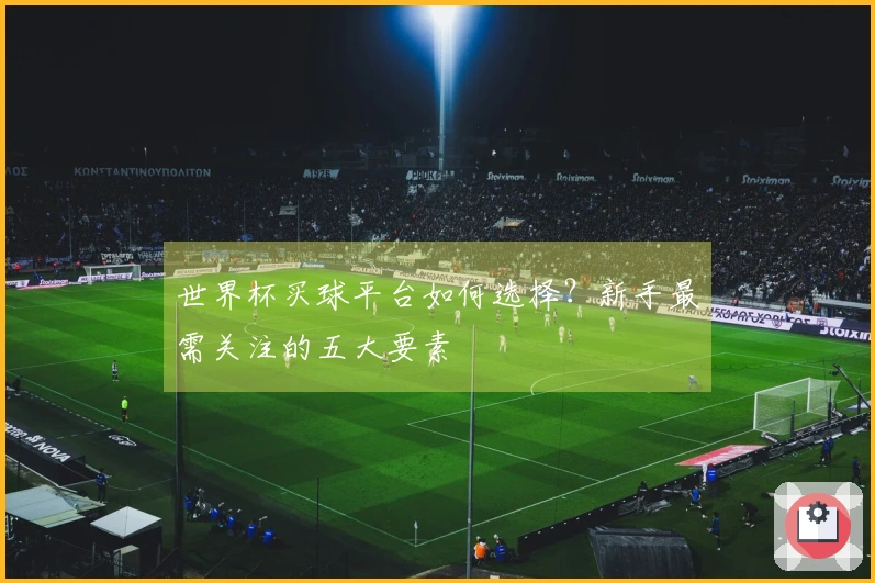 世界杯买球平台如何选择？新手最需关注的五大要素