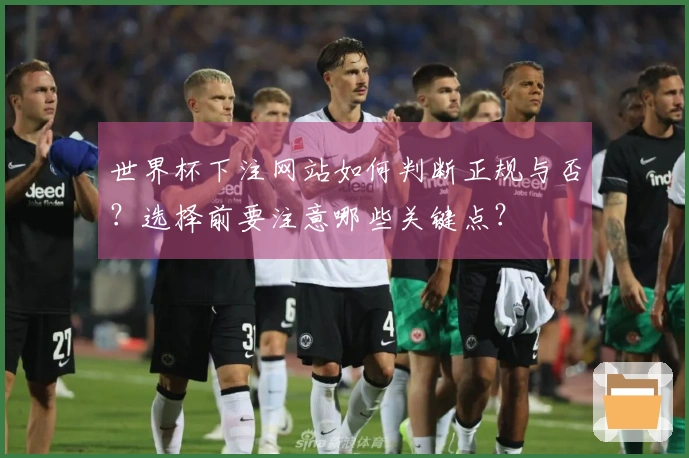 世界杯下注网站如何判断正规与否？选择前要注意哪些关键点？