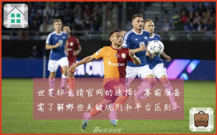 世界杯竞猜官网的选择：赛前准备需了解哪些关键规则和平台区别？
