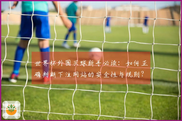 世界杯外围买球新手必读：如何正确判断下注网站的安全性与规则？