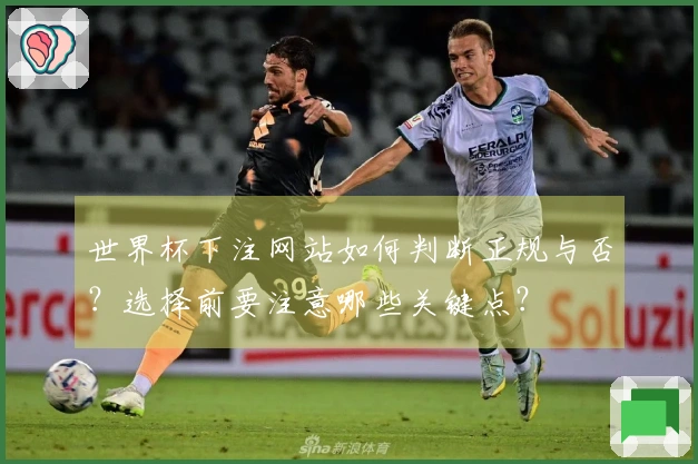 世界杯下注网站如何判断正规与否？选择前要注意哪些关键点？