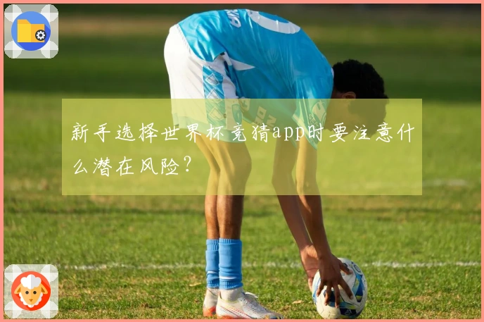 新手选择世界杯竞猜app时要注意什么潜在风险？