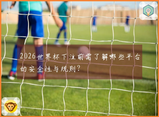 2026世界杯下注前需了解哪些平台的安全性与规则？
