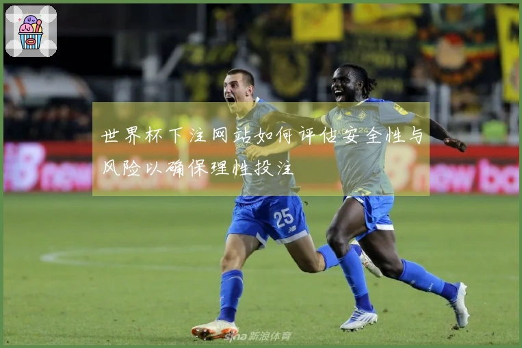 世界杯下注网站如何评估安全性与风险以确保理性投注