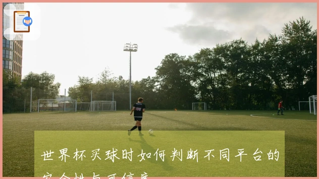 世界杯买球时如何判断不同平台的安全性与可信度