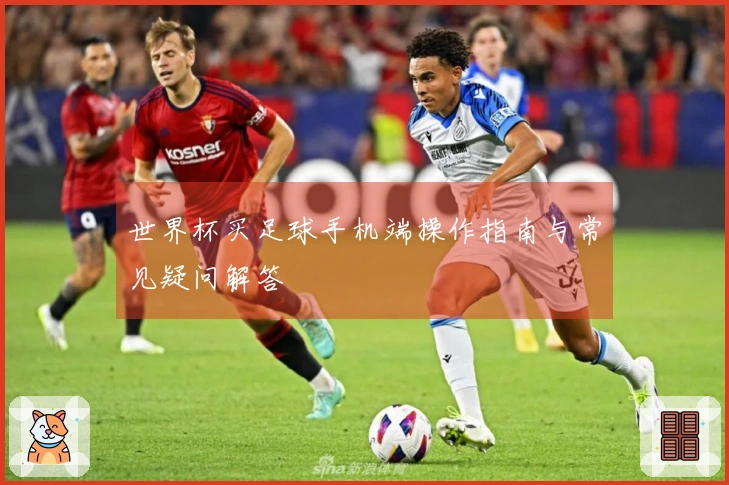 世界杯买足球手机端操作指南与常见疑问解答