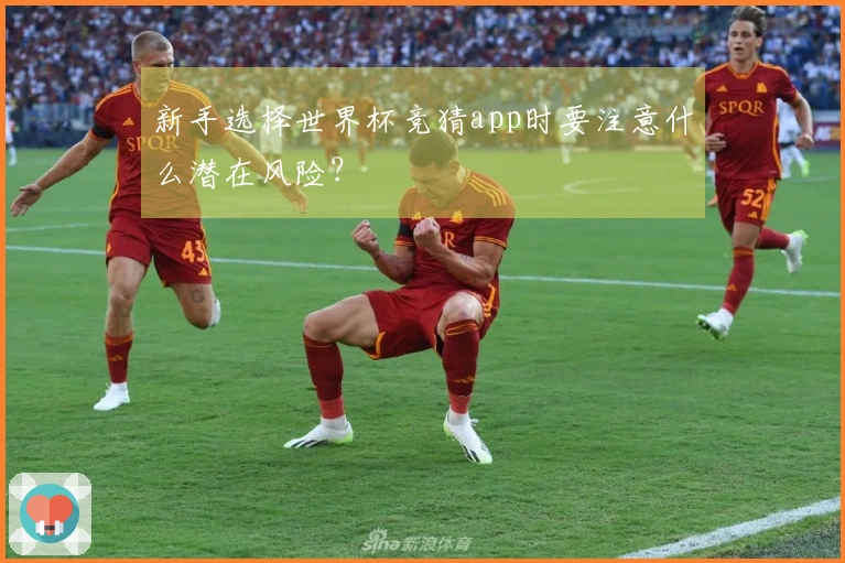 新手选择世界杯竞猜app时要注意什么潜在风险？