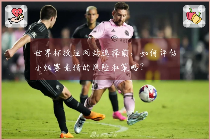 世界杯投注网站选择前，如何评估小组赛竞猜的风险和策略？