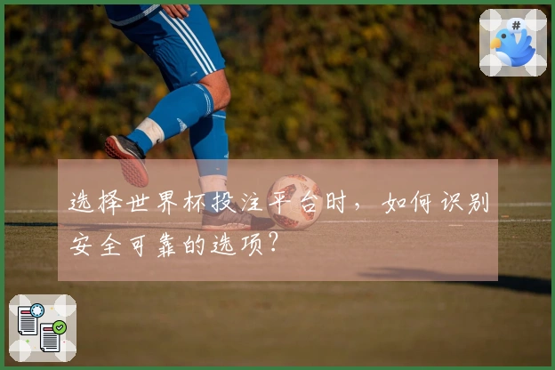 选择世界杯投注平台时，如何识别安全可靠的选项？