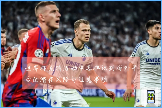 世界杯竞猜活动中怎样识别海外平台的潜在风险与注意事项