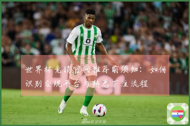 世界杯竞猜官网推荐前须知：如何识别合规平台与熟悉下注流程