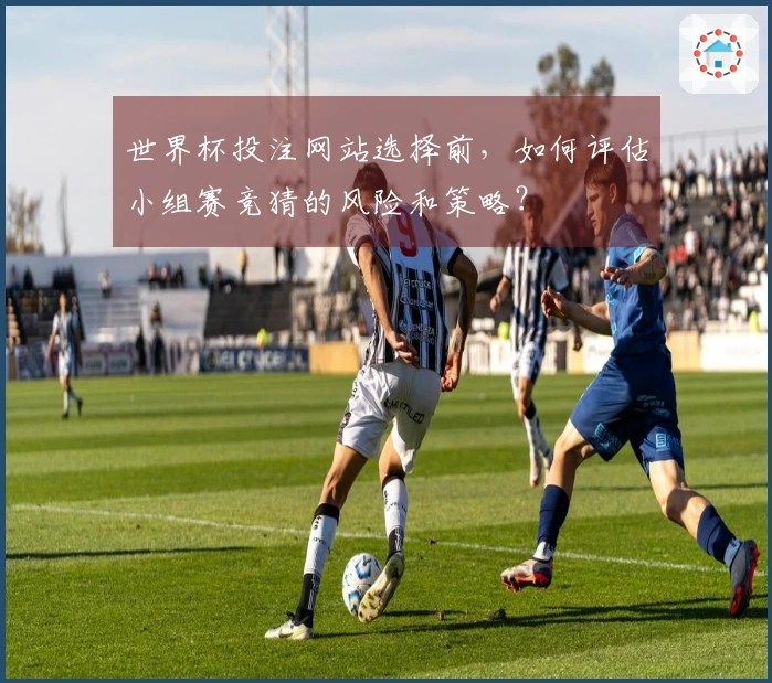 世界杯投注网站选择前，如何评估小组赛竞猜的风险和策略？