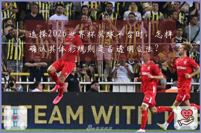 选择2026世界杯买球平台时，怎样确认其体彩规则是否透明合法？