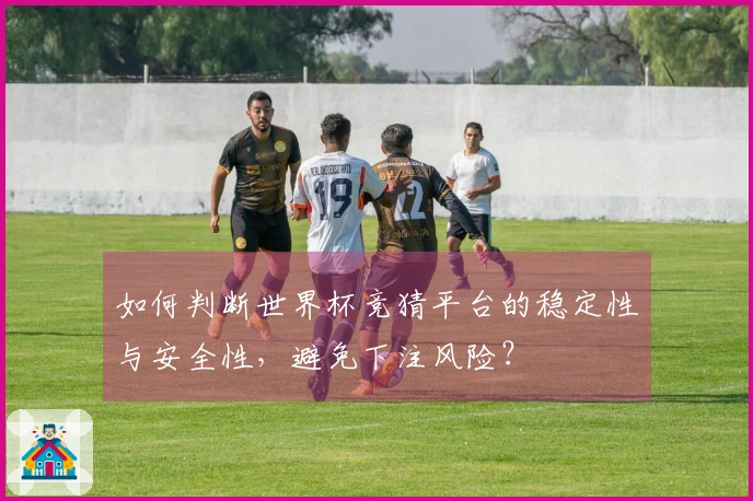 如何判断世界杯竞猜平台的稳定性与安全性，避免下注风险？