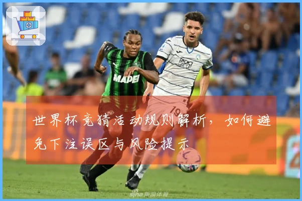 世界杯竞猜活动规则解析，如何避免下注误区与风险提示