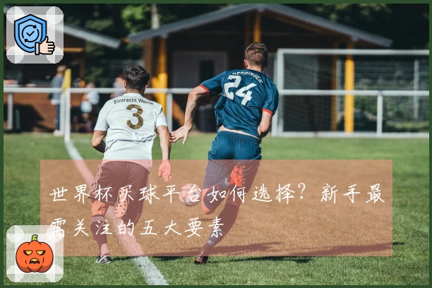 世界杯买球平台如何选择？新手最需关注的五大要素