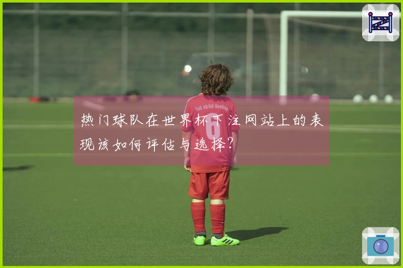 热门球队在世界杯下注网站上的表现该如何评估与选择？