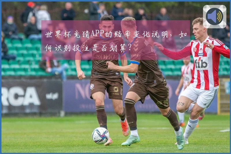 世界杯竞猜APP的赔率变化说明，如何识别投注是否划算？