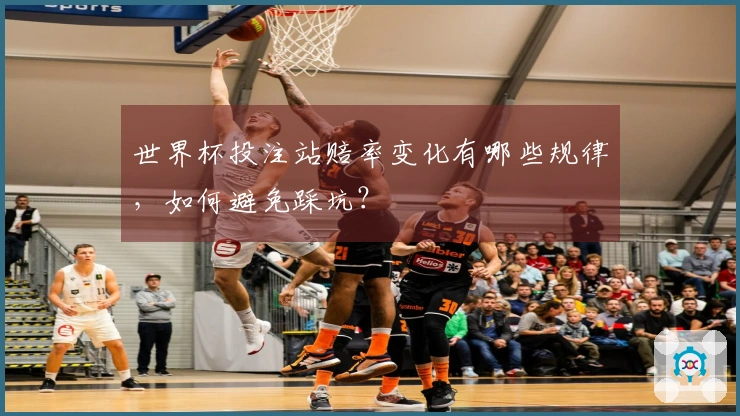 世界杯投注站赔率变化有哪些规律，如何避免踩坑？