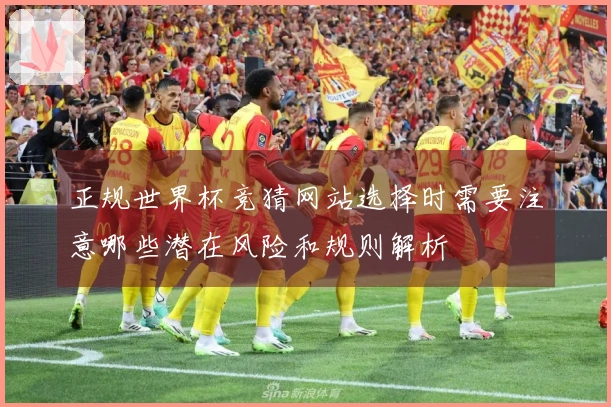 正规世界杯竞猜网站选择时需要注意哪些潜在风险和规则解析