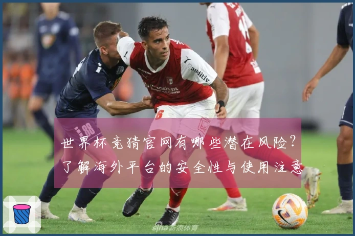 世界杯竞猜官网有哪些潜在风险？了解海外平台的安全性与使用注意事项